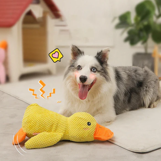 Quack-Quack Squeaky Dog Toy