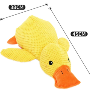 Quack-Quack Squeaky Dog Toy