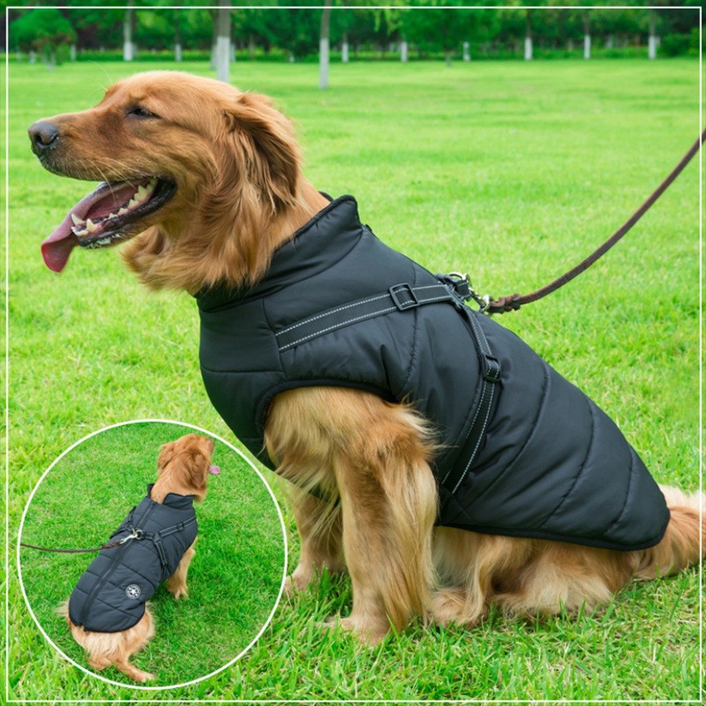 Waterproof Winter Thermel Jacket with Built-in Harness