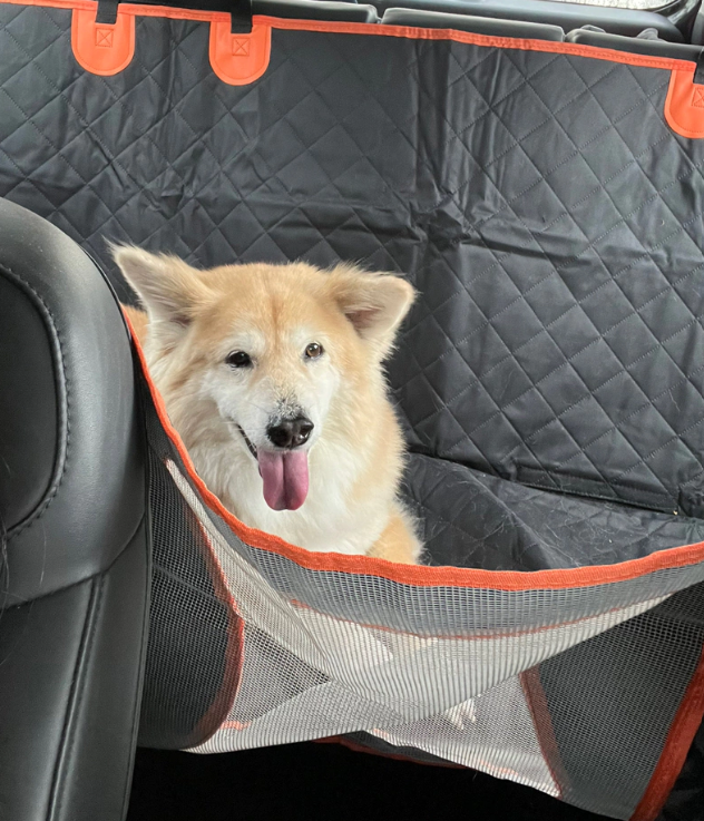 PetCruiser Dog Car Seat Extended
