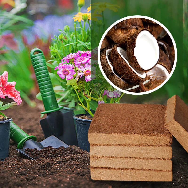 Last Day Sale 49% OFF - Organic Coconut Coir for Plants