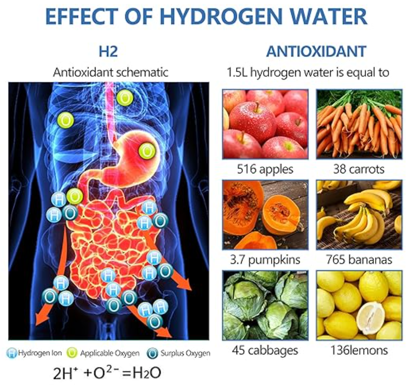 Mastara HydroBottle Pro - Better Health