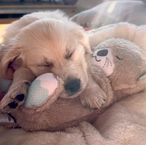 Pawbibi Calming Otter Plush