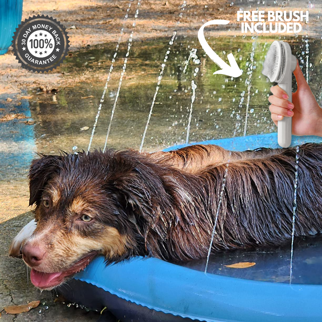 Splashy - Dog Sprinkler Pool