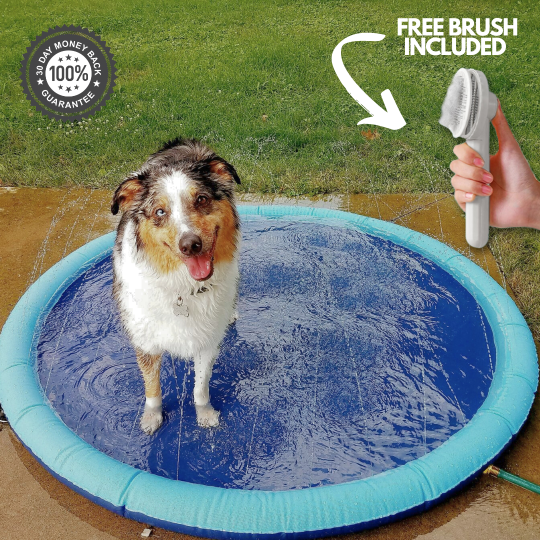 Splashy - Dog Sprinkler Pool