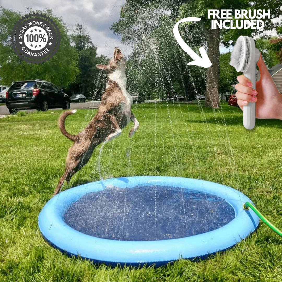 Splashy - Dog Sprinkler Pool