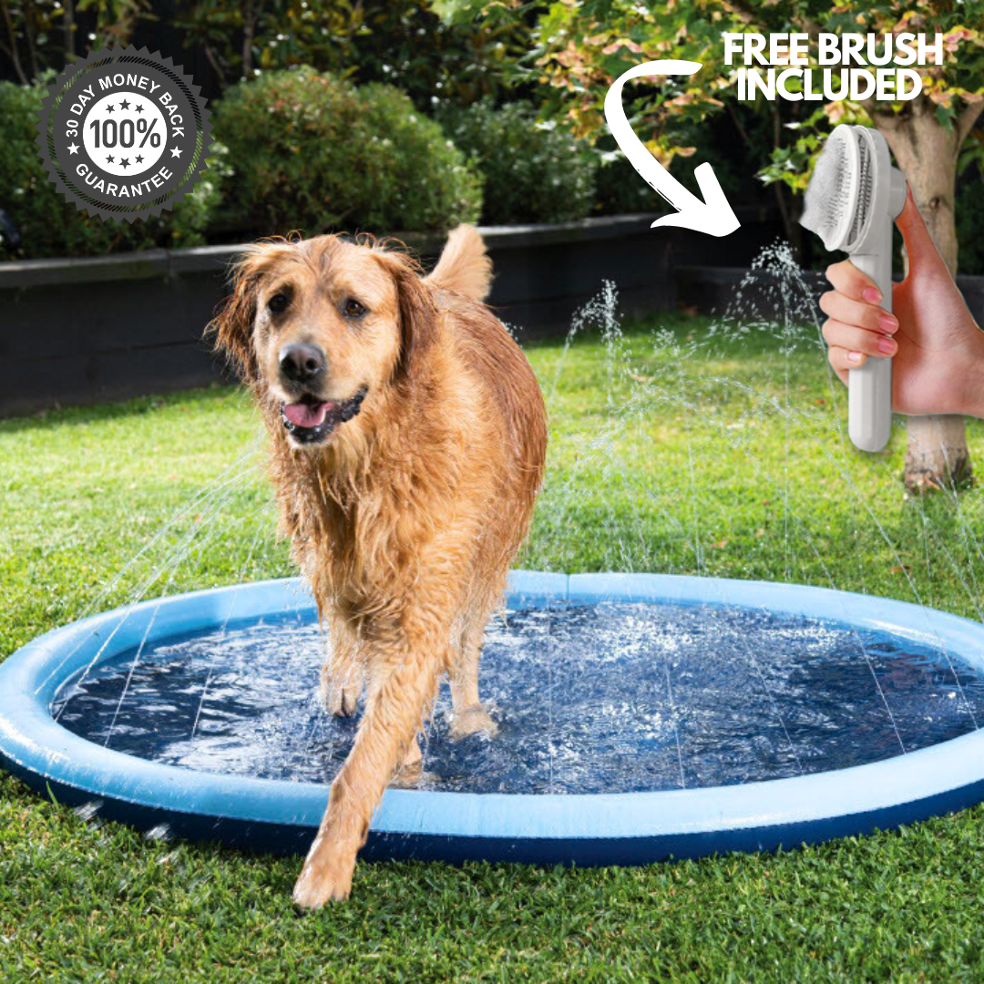 Splashy - Dog Sprinkler Pool