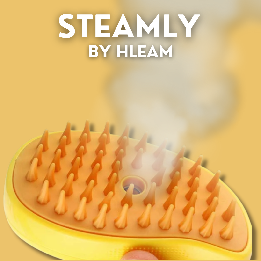 The Original Steamly