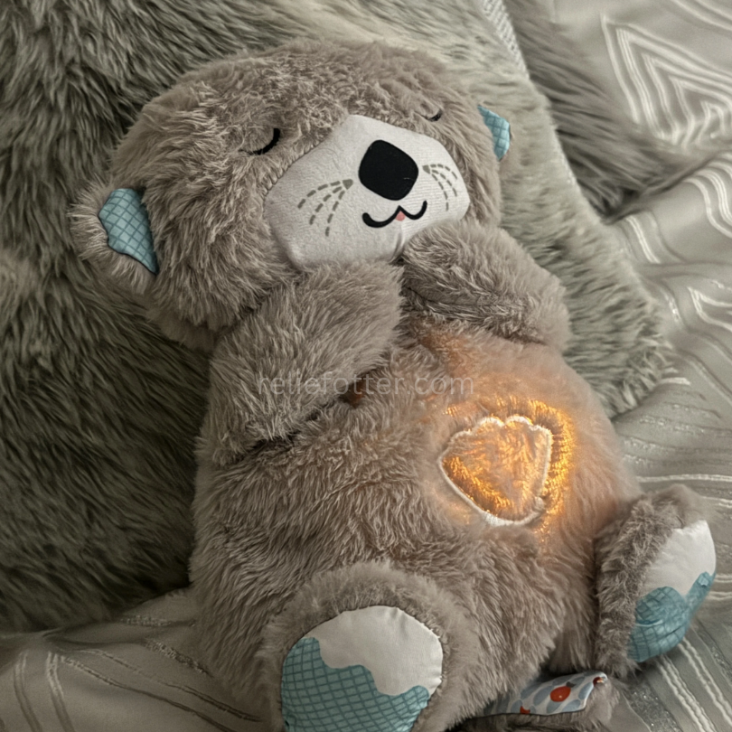 BreathingTeddy