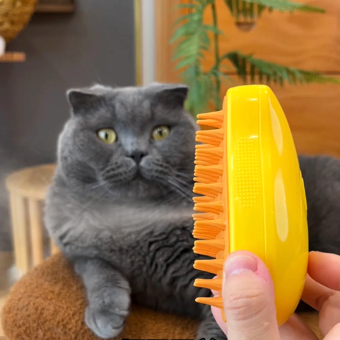 Cat Steamy Brush