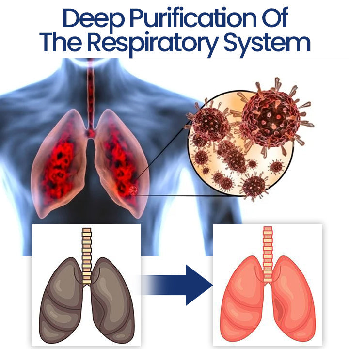 Ceoerty HerbalBreathe Lung Cleansing Aerosol