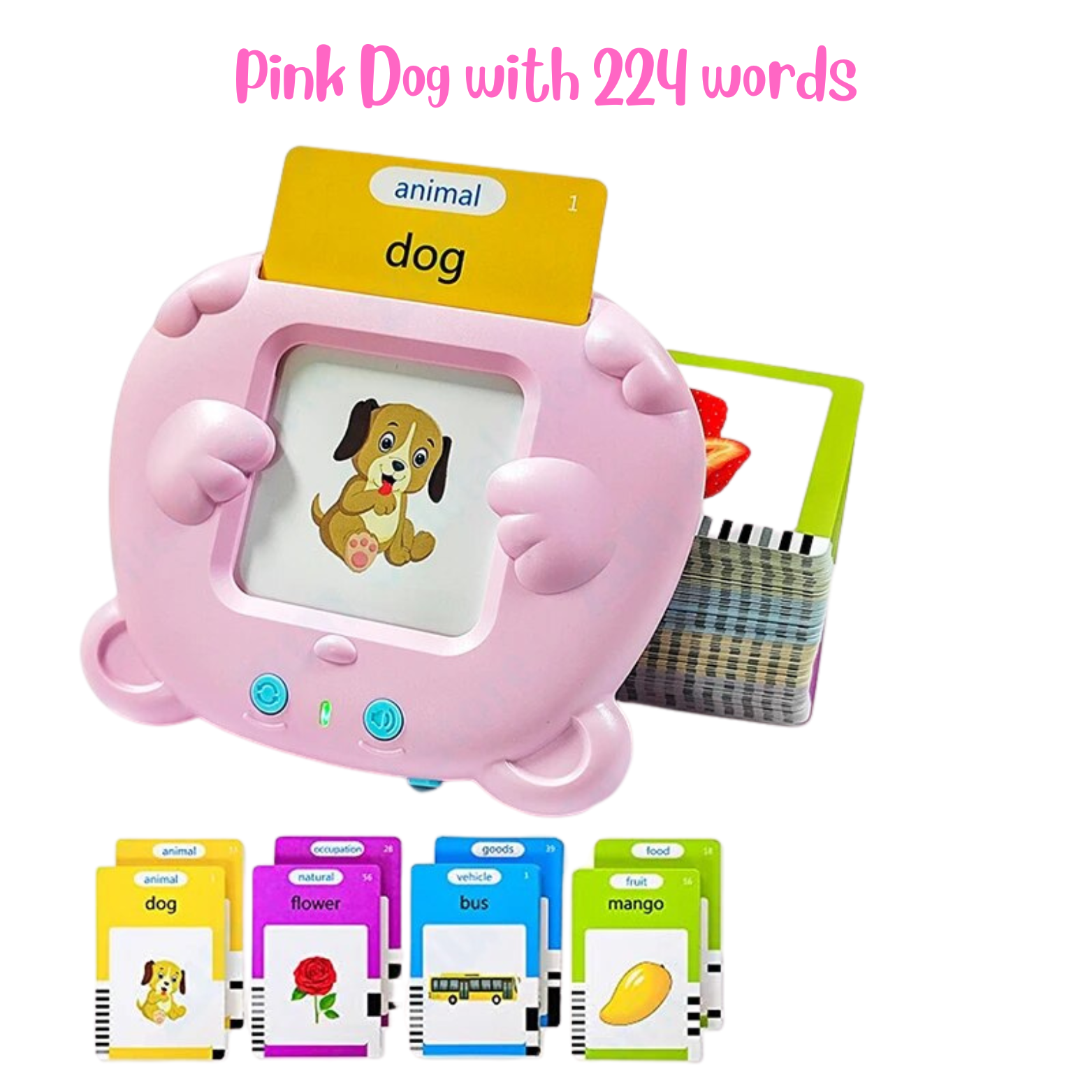 Chatterbox Flash Cards - Interactive Early Learning Tool