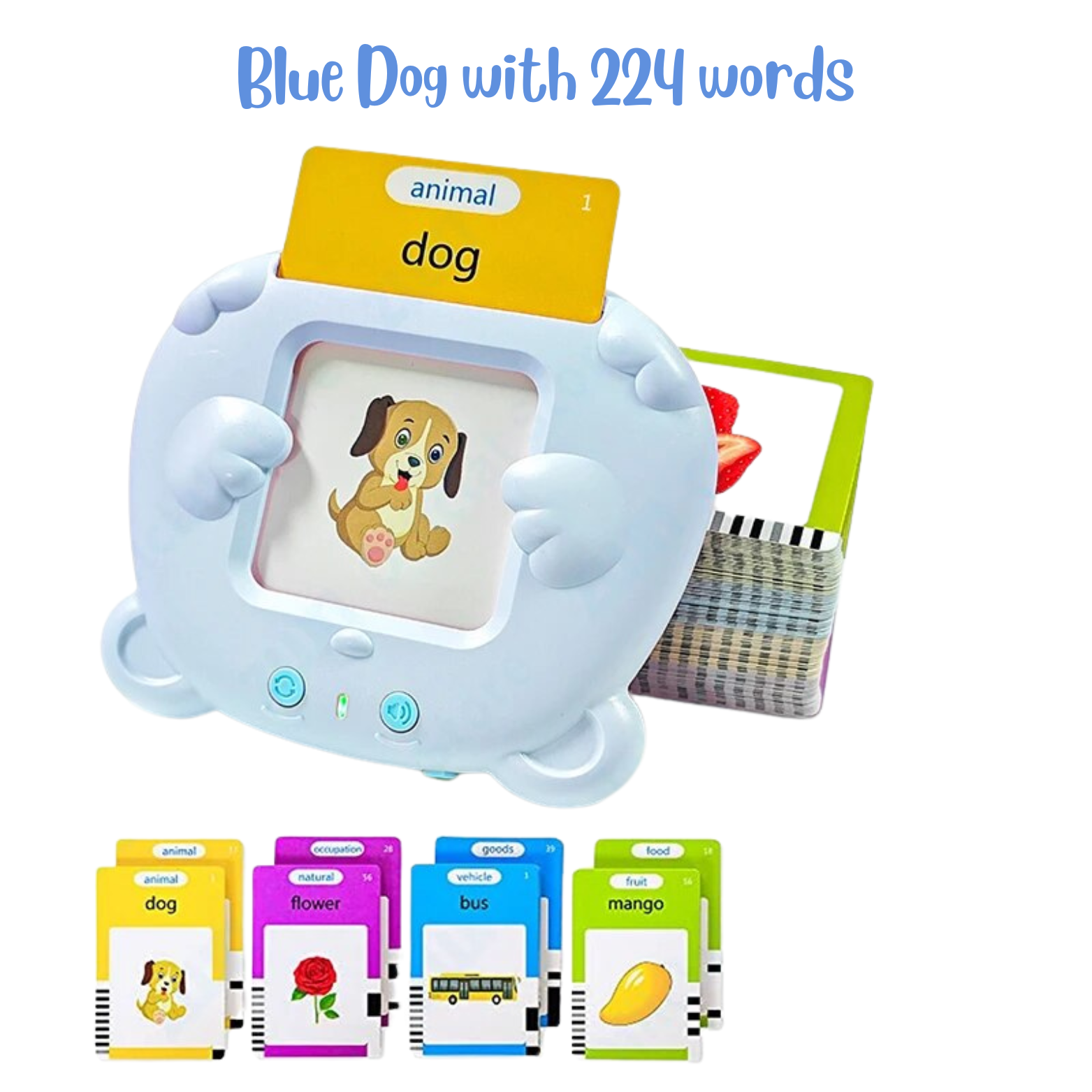 Chatterbox Flash Cards - Interactive Early Learning Tool