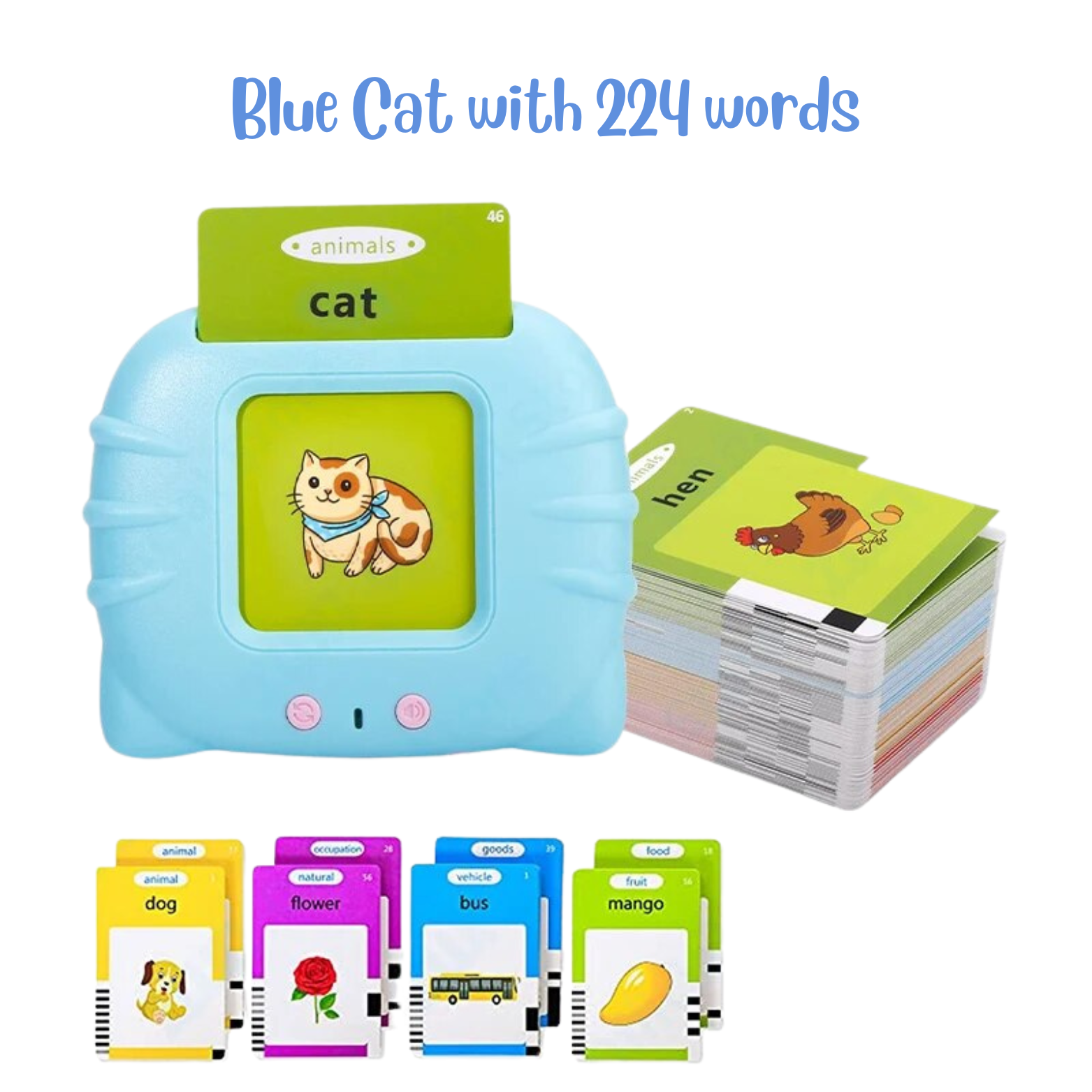 Chatterbox Flash Cards - Interactive Early Learning Tool