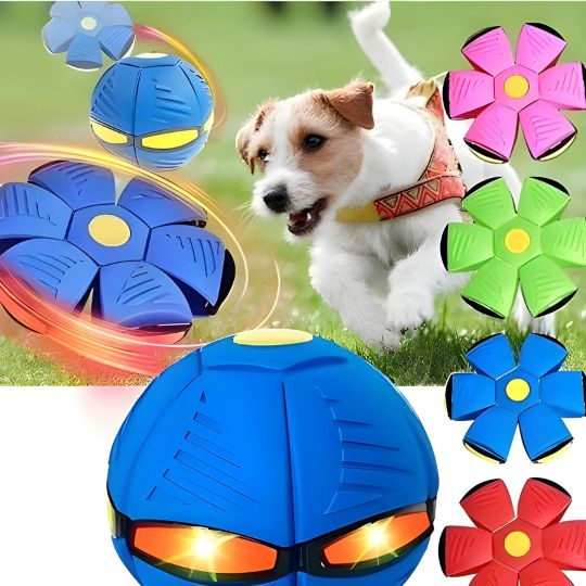 Doggy Disc Ball - Interactive Toy for Pups