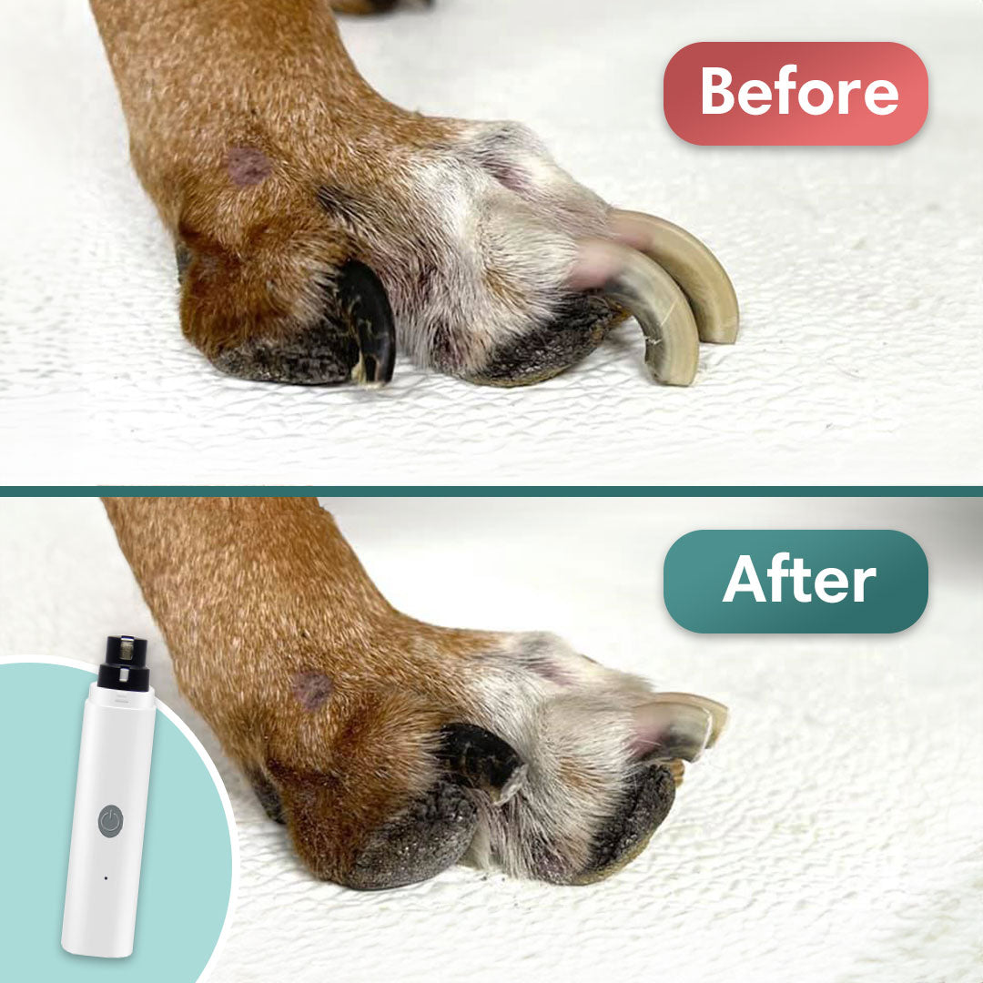 PerfectPaws - Pet Nail Trimmer