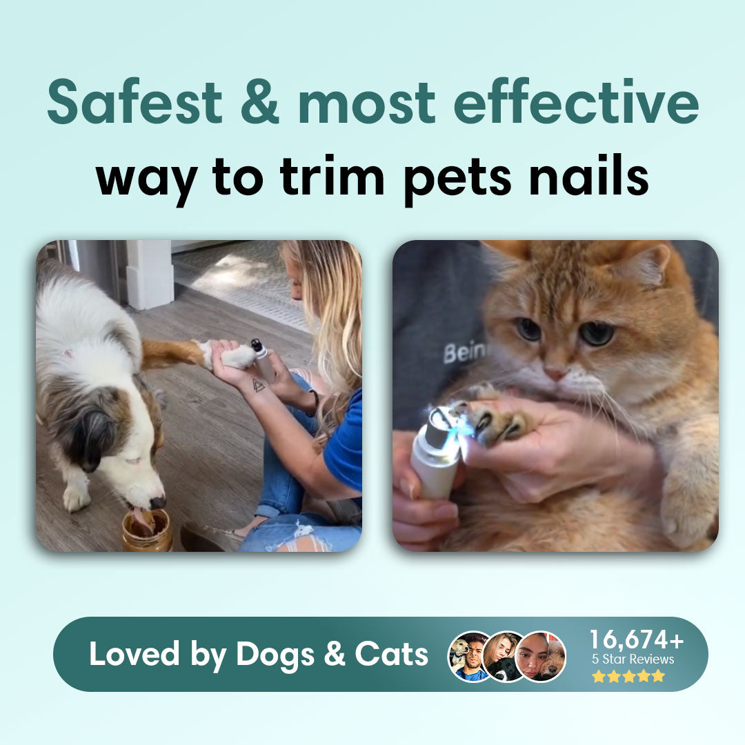 PerfectPaws - Pet Nail Trimmer