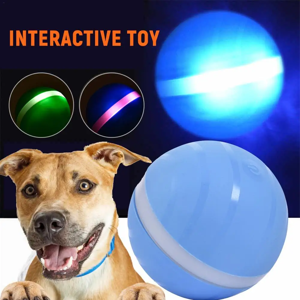 Pet Ball