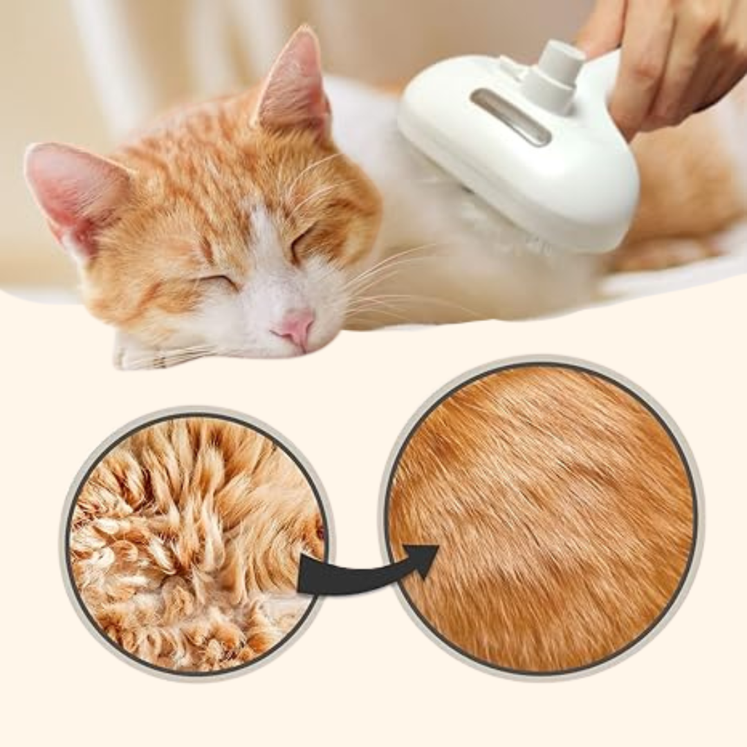 Pet spray grooming brush