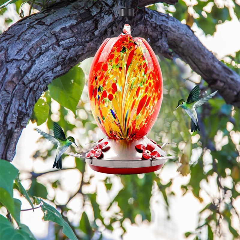 Shirem Hummingbird Feeder