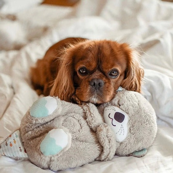 SnuggleBuddy Breathing Otter