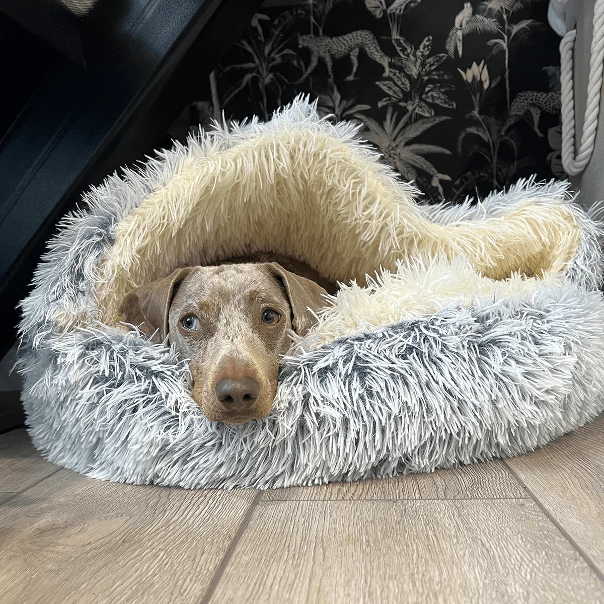 The Original CozyCove | Premium Burrow Bed