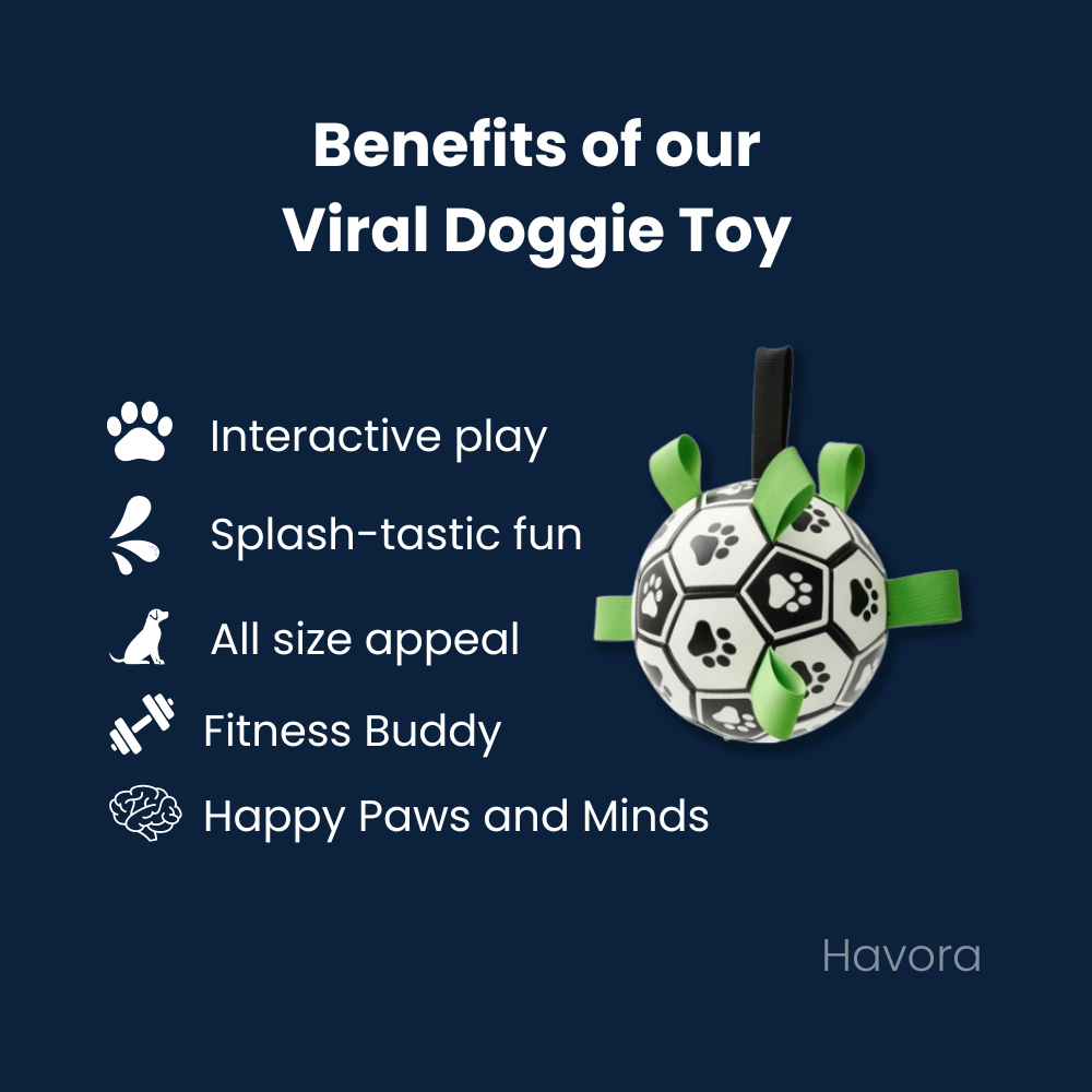 Viral Doggie Ball