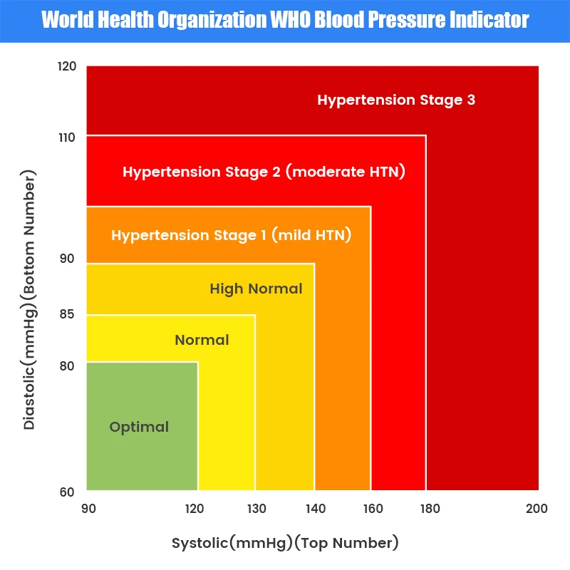 VitalTrack Pro Arm Blood Pressure Monitor