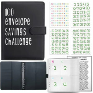 100 Envelope Saving Challenge