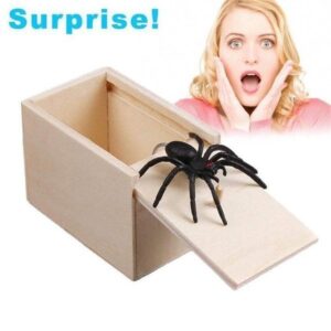 (2024 New Year Hot Sale) Super Funny Crazy Prank Gift Box Spider – Special gifts for friends/family!