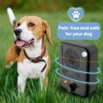 Anti-bark device for dogs | WoofZen