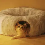 Cuddlio Fluffy Cat Tunnel Bed