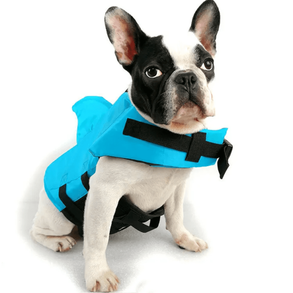 Dog Life Vest Shark- Keep Your Pet Safe and Stylish in the Water!