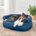 Factory Closing, Clearance Sales 70% OFF - Sofa Dog Bed