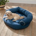 Factory Closing, Clearance Sales 70% OFF - Sofa Dog Bed