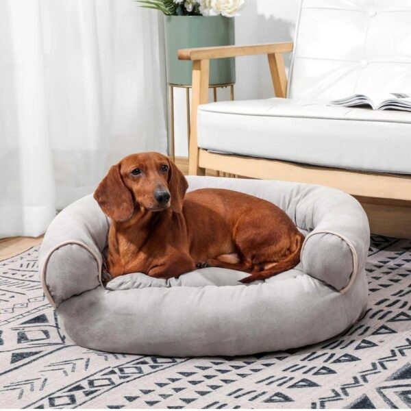 Factory Closing, Clearance Sales 70% OFF - Sofa Dog Bed