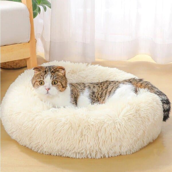 Fluffy Donut Pet Bed