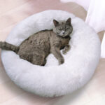 Fluffy Donut Pet Bed