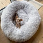 Fluffy Donut Pet Bed