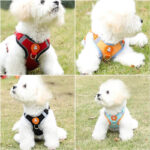 Fur Baby Fun QuickFit Harness