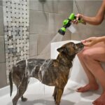 GauGau High-pressure Sprayer Nozzle Hose Dog Shower