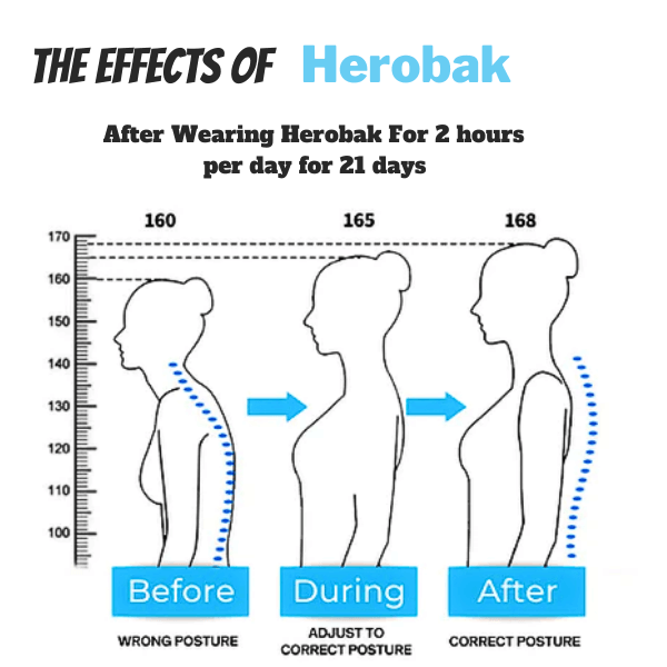 Herobak - Back Corrector Belt