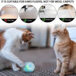 Interactive Cat Ball - Smart Toy for Kitty