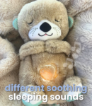 Lullaby Otter