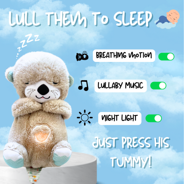 Lullaby Otter