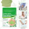 Natural Back Pain Patches