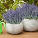 Outdoor Artificial Lavender Flowers