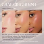 Oveallgo PH Value Color Changing Blush Stick