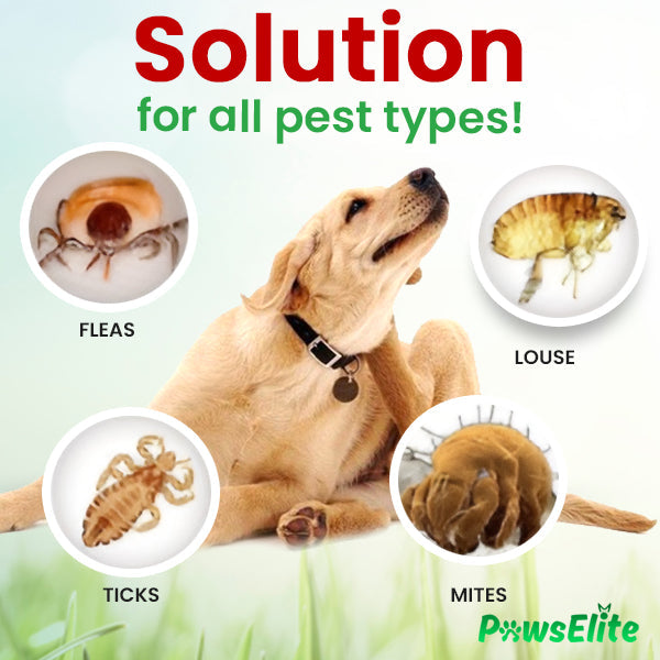 PawElite Flea & Tick Pet Drops - Limited Stocks - up to 80% Off