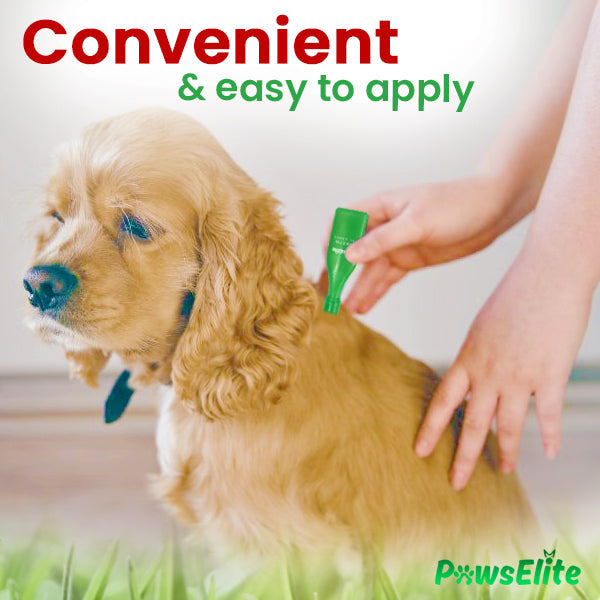 PawElite Flea & Tick Pet Drops - Limited Stocks - up to 80% Off